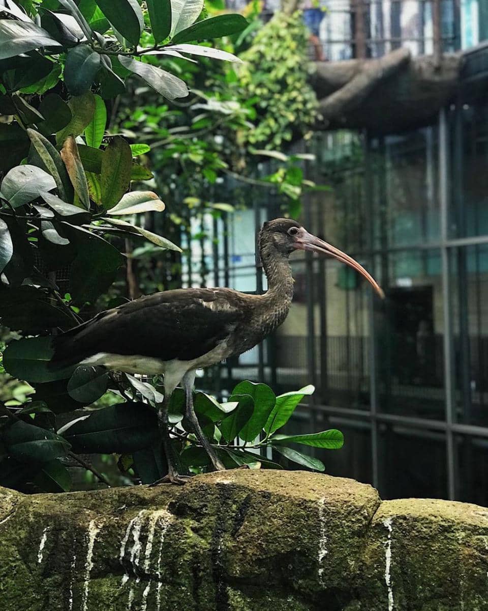 instagram.com/naturedevill