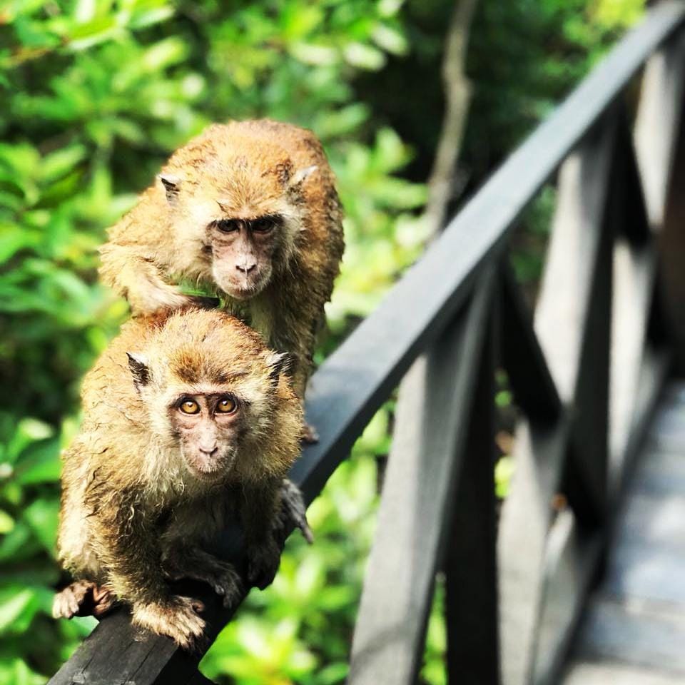 Foto hanya ilustrasi. (Instagram.com/rhinodesouza)