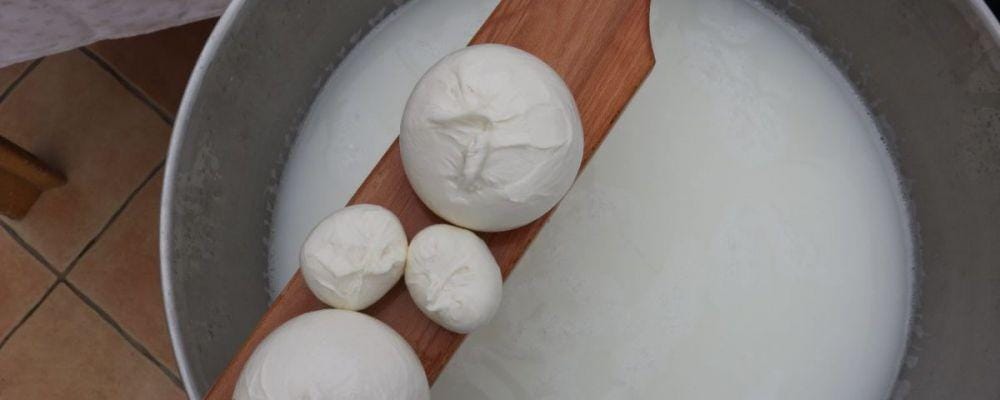 amalficoastdestination.com