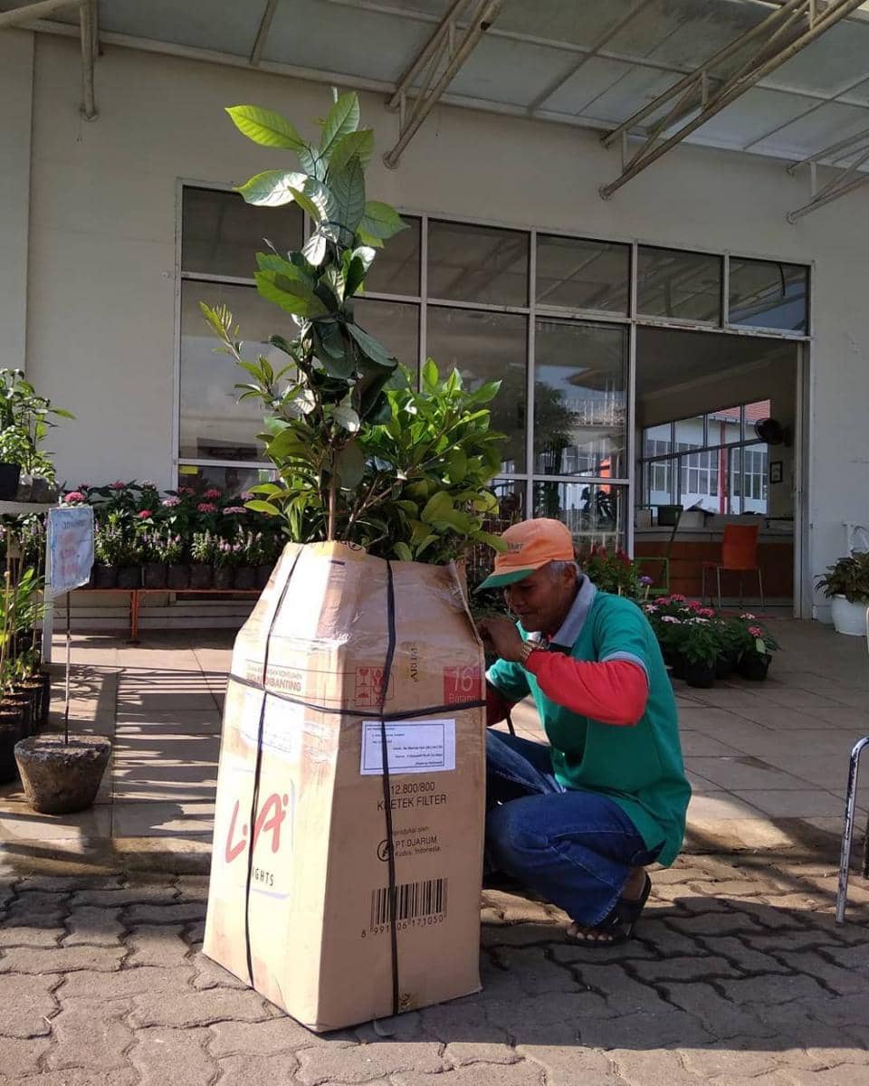 instagram.com/hortimart_agro_supply