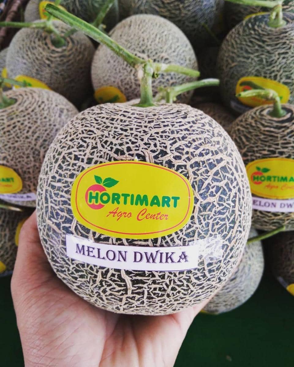 instagram.com/agrostorehortimart