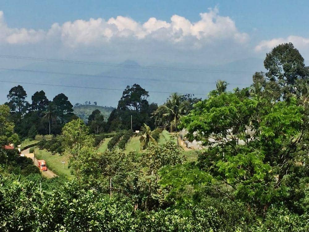 instagram.com/davidhorito