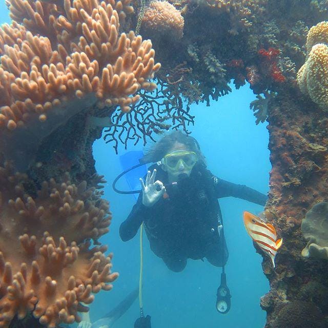 instagram.com/karimunjawa.travel