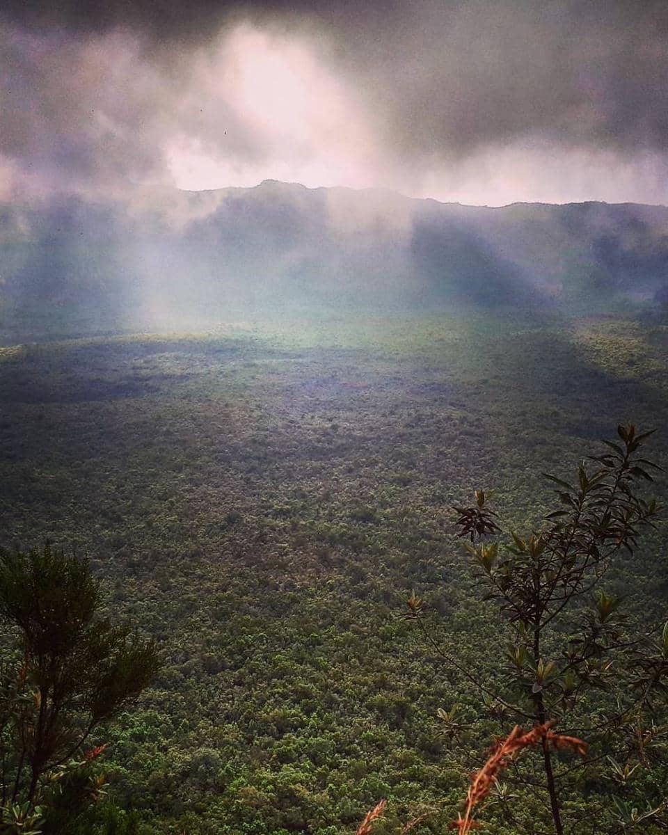 instagram.com/antjesoasis