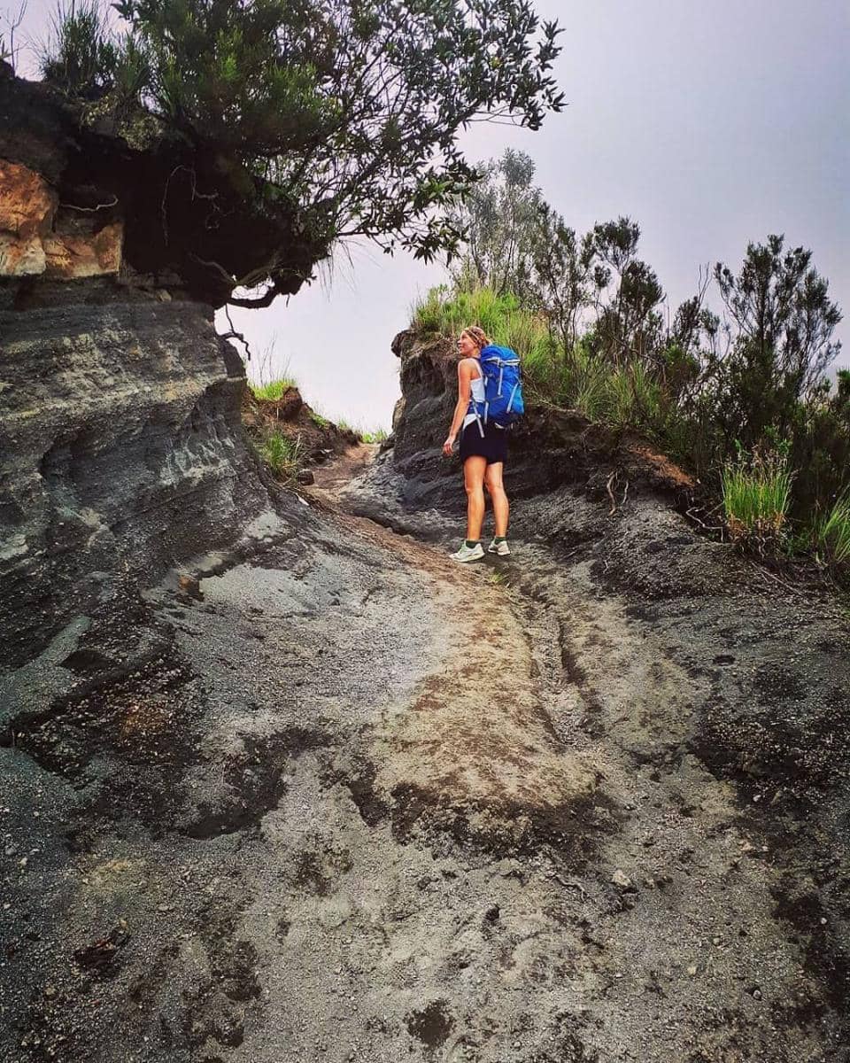 instagram.com/antjesoasis