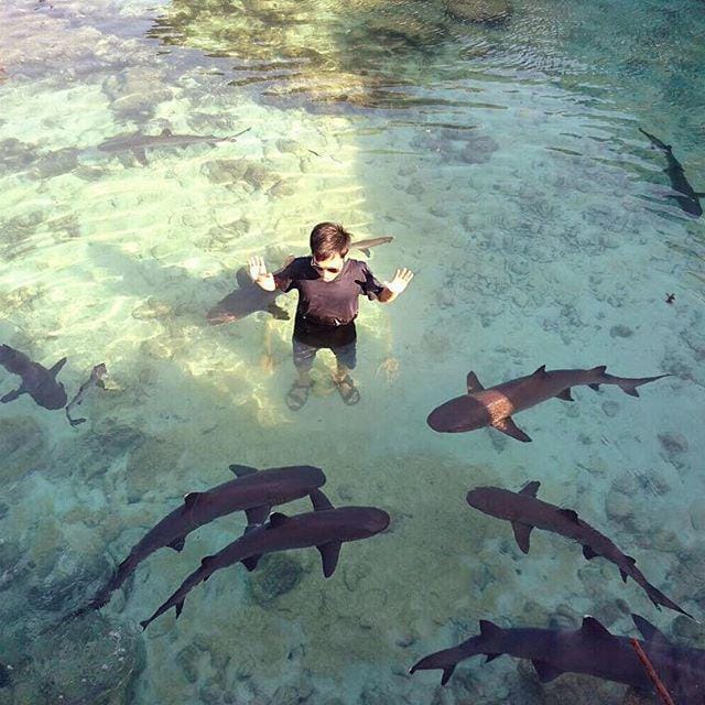 instagram.com/harutomo19