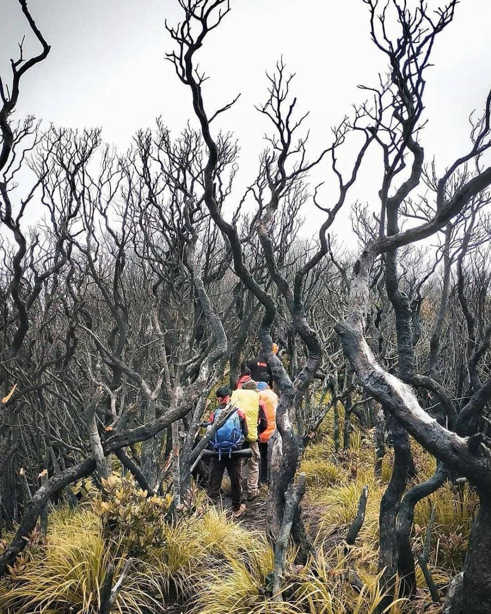 instagram.com/ajiarya_