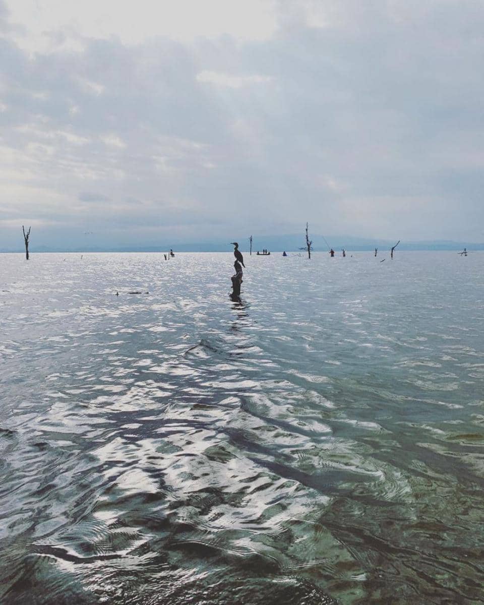 instagram.com/tomghaines