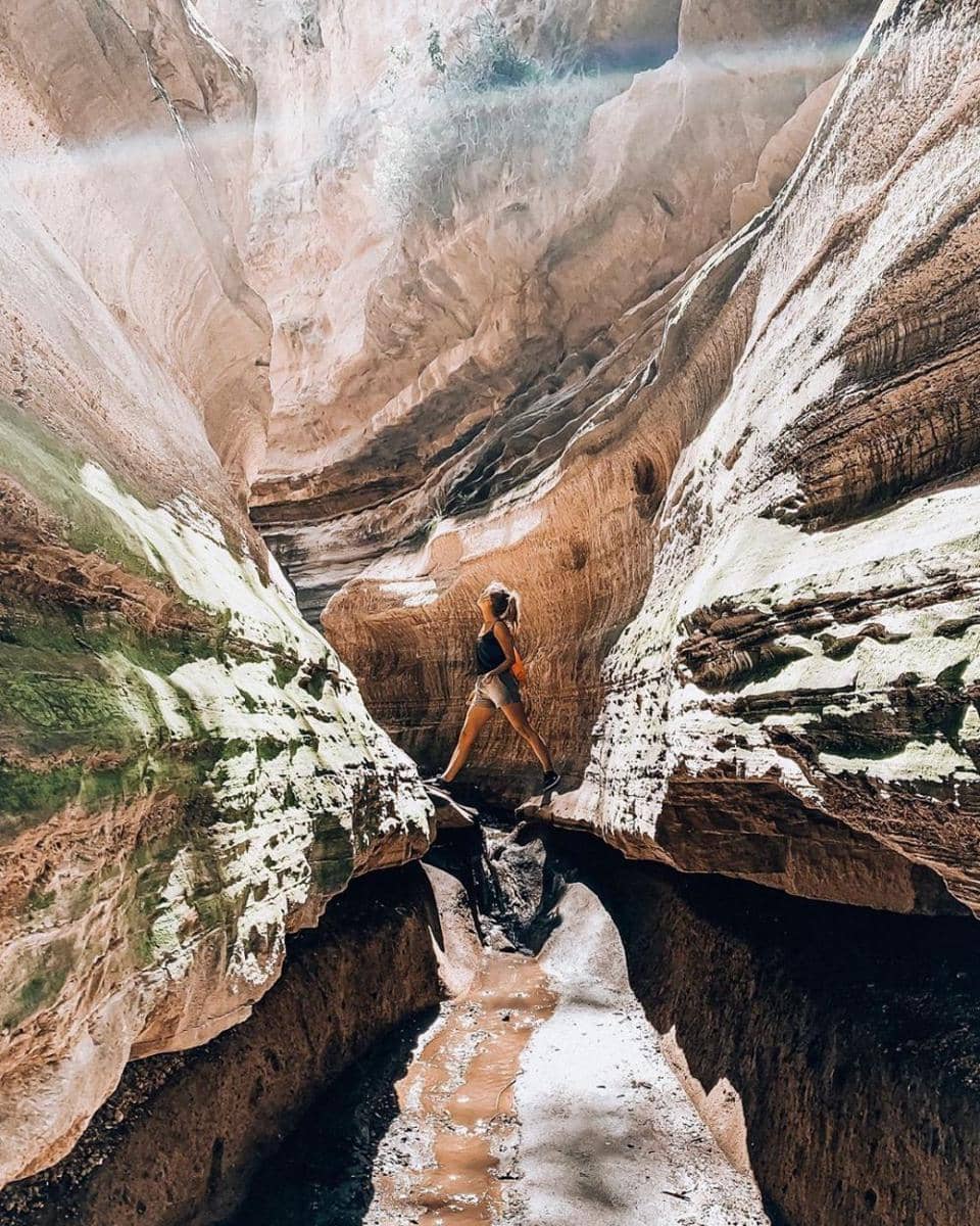 instagram.com/kelliepaxian