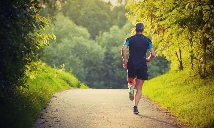 piedmontlifestyle.com