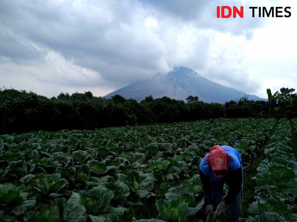 IDN Times/Prayugo Utomo