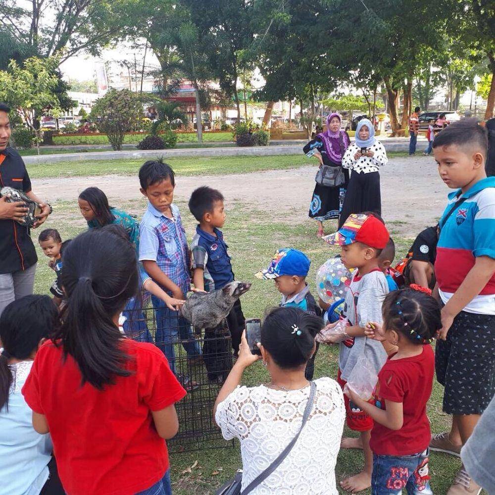 Dok/Istimewa