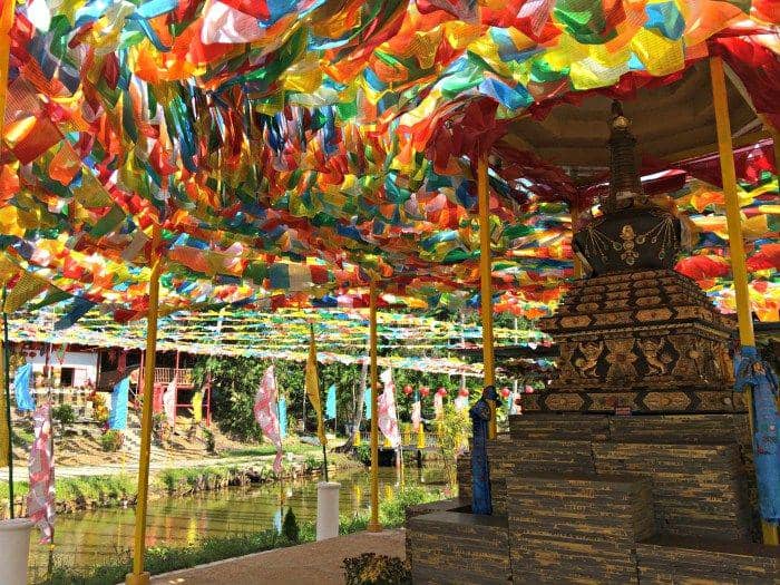 shewalkstheworld.com