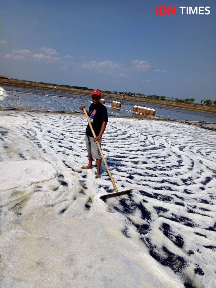 IDN Times/Fariz Fardianto