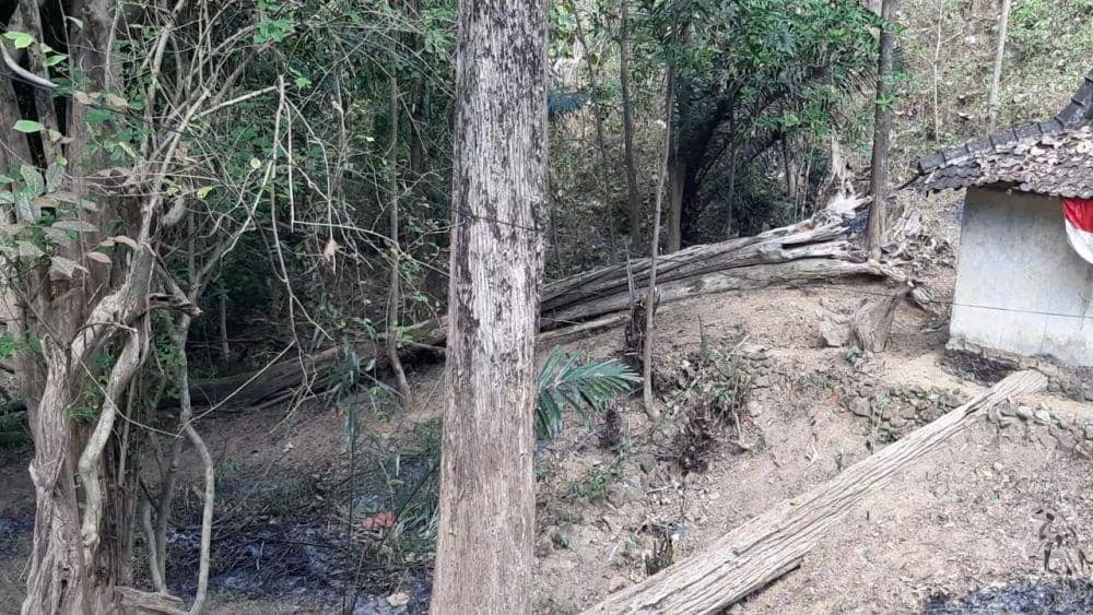 IDN Times/Daruwaskita