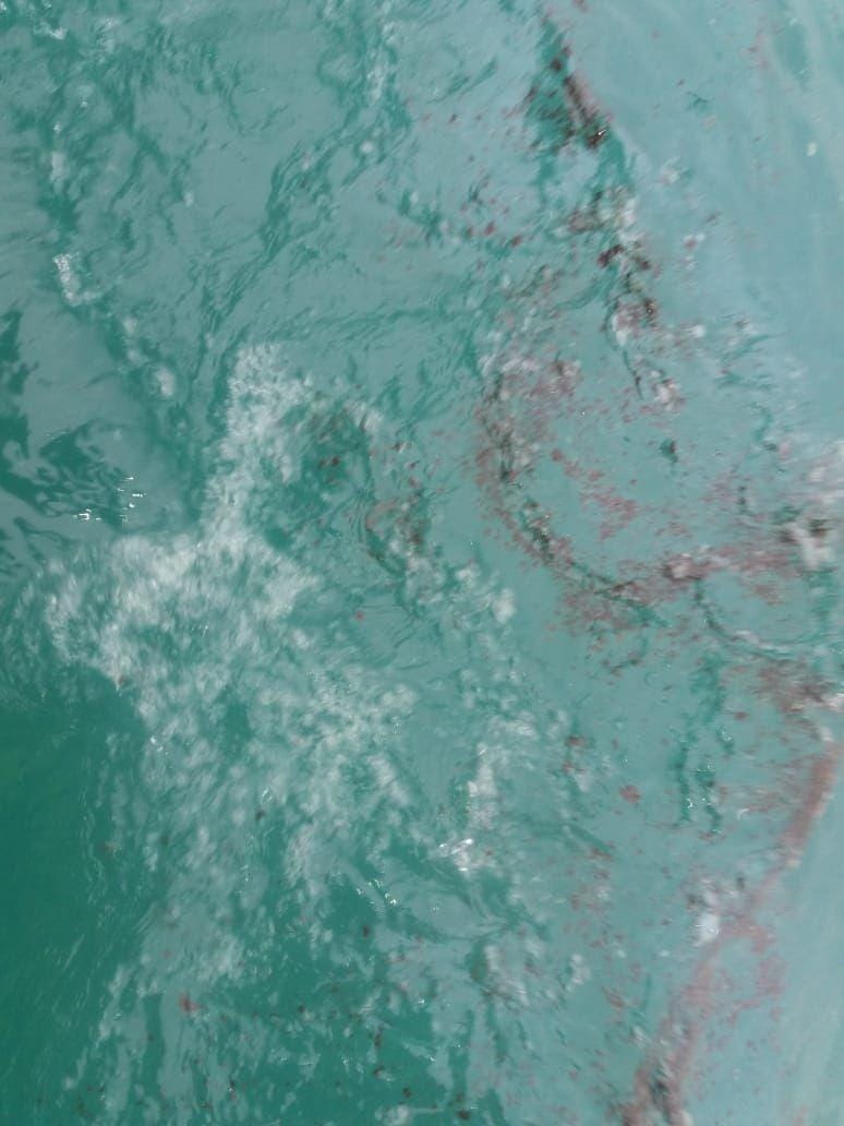 Ilustrasi pencemaran minyak/Istimewa