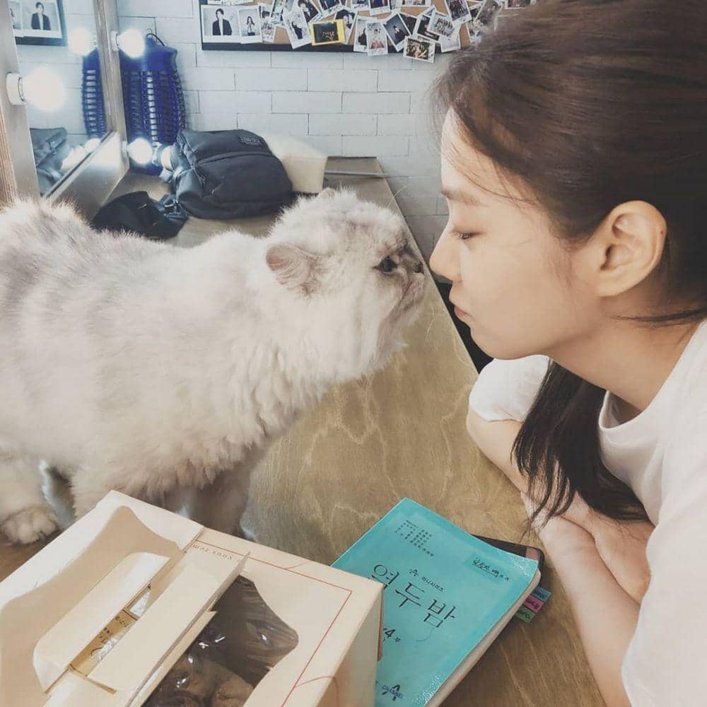 instagram.com/thesy88