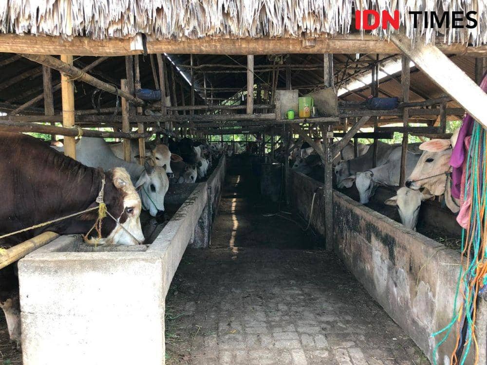 IDN Times/Rangga Erfizal