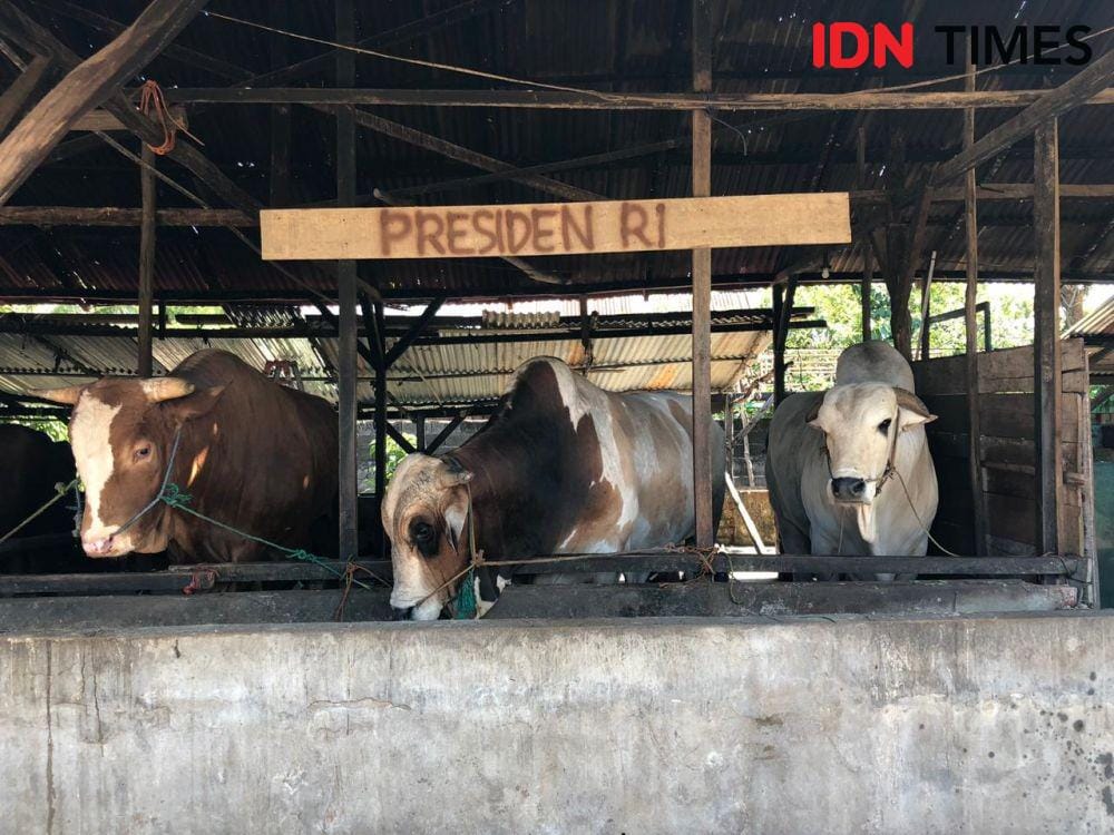 IDN Times/Rangga Erfizal