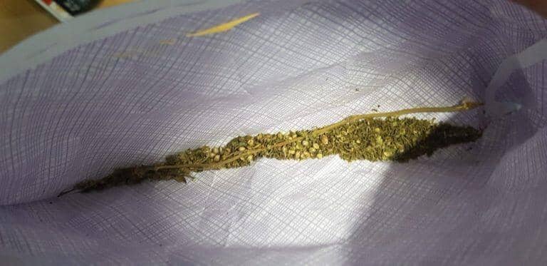 Dok.IDN Times/Istimewa