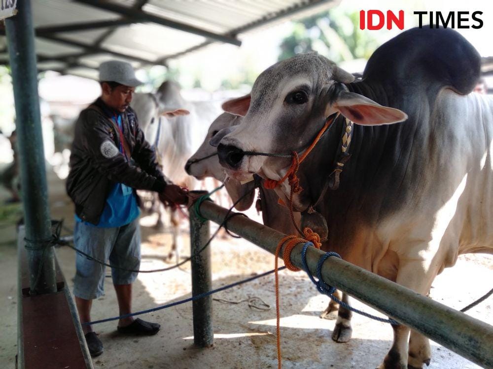 IDN Times/Daruwaskita