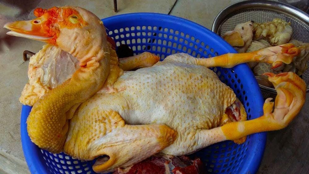 youtube.com/villa teng