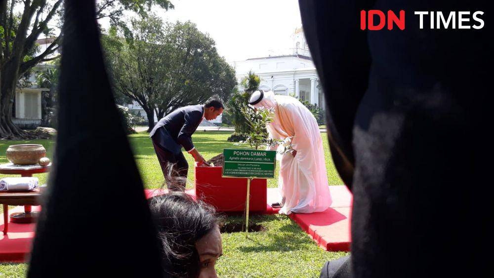 IDN Times/Teatrika Handiko Putri