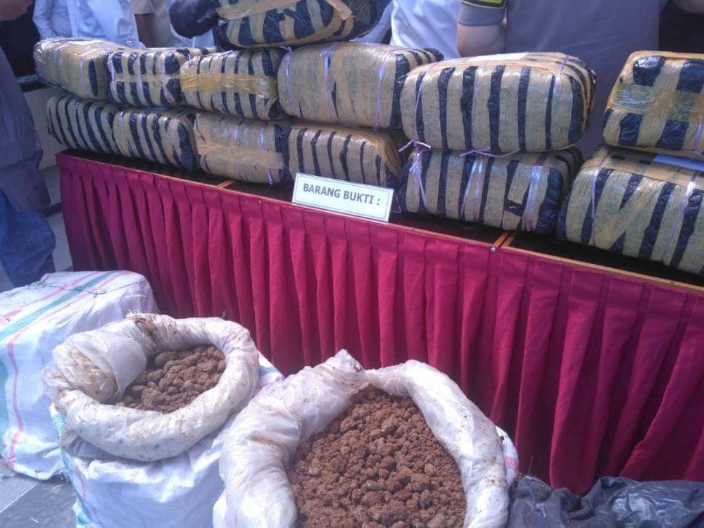 Dok.IDN Times/Istimewa