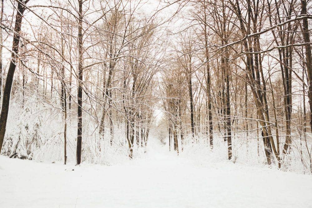 capturingourdays.com