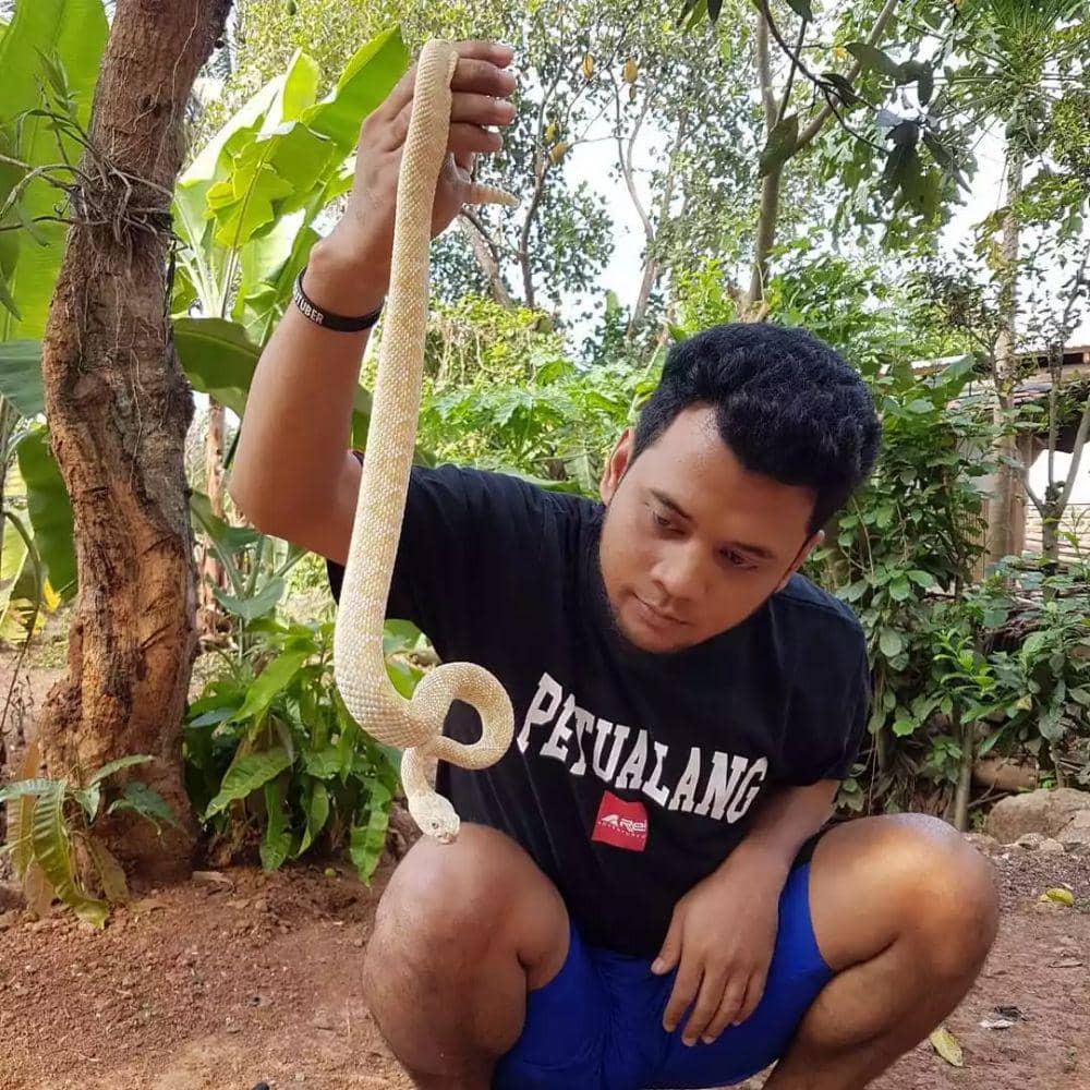 instagram.com/panjipetualang_real