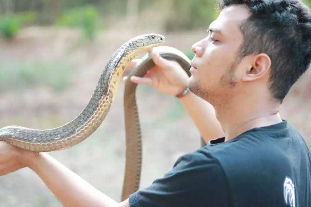 instagram.com/panjipetualang_real