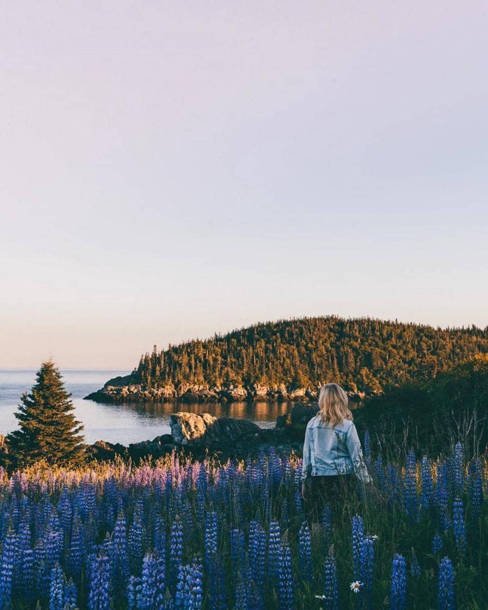 instagram.com/_destinationsomewhere