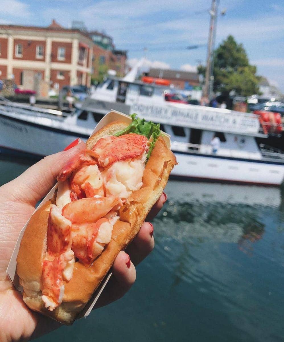 instagram.com/bitesonthebay