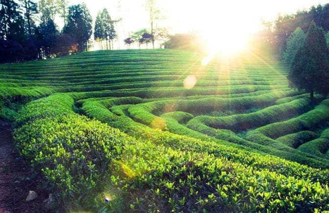 gksco83.wordpress.com/ Jeollanam-do