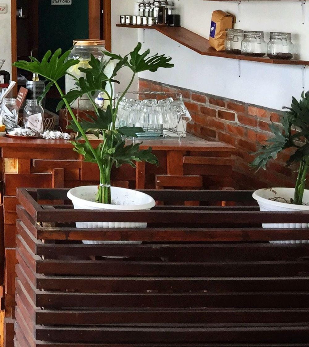 Instagram @ivycoffee__