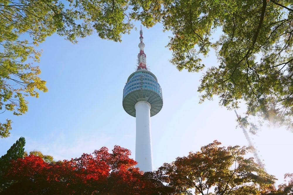 unsplash.com/Joshua Delica