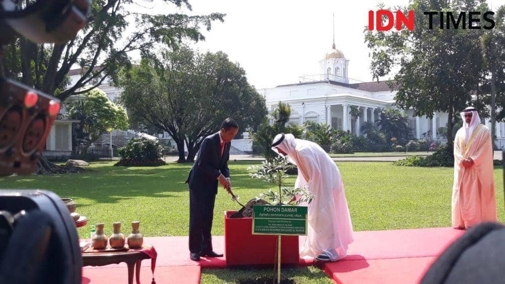 (Presiden Jokowi dengan Putra Mahkota Uni Emirat Arab (UEA) Syekh Mohamed bin Zayed Al Nahyan (MBZ)) IDN Times/Teatrika Handiko Putri