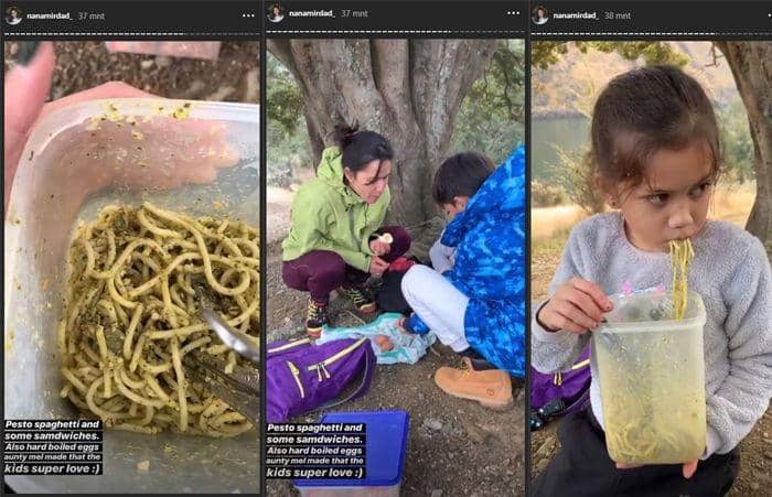 instagram.com/nanamirdad_