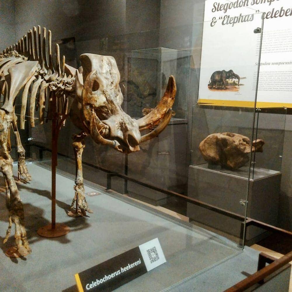 instagram.com/pingkansyarifa