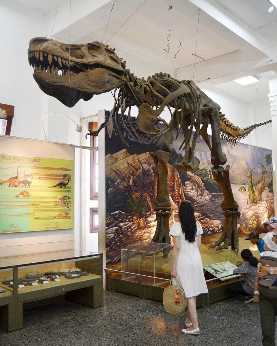 instagram.com/angelinaevelyn