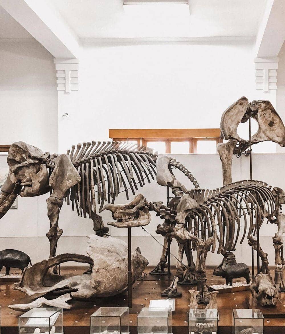 instagram.com/tedtrd