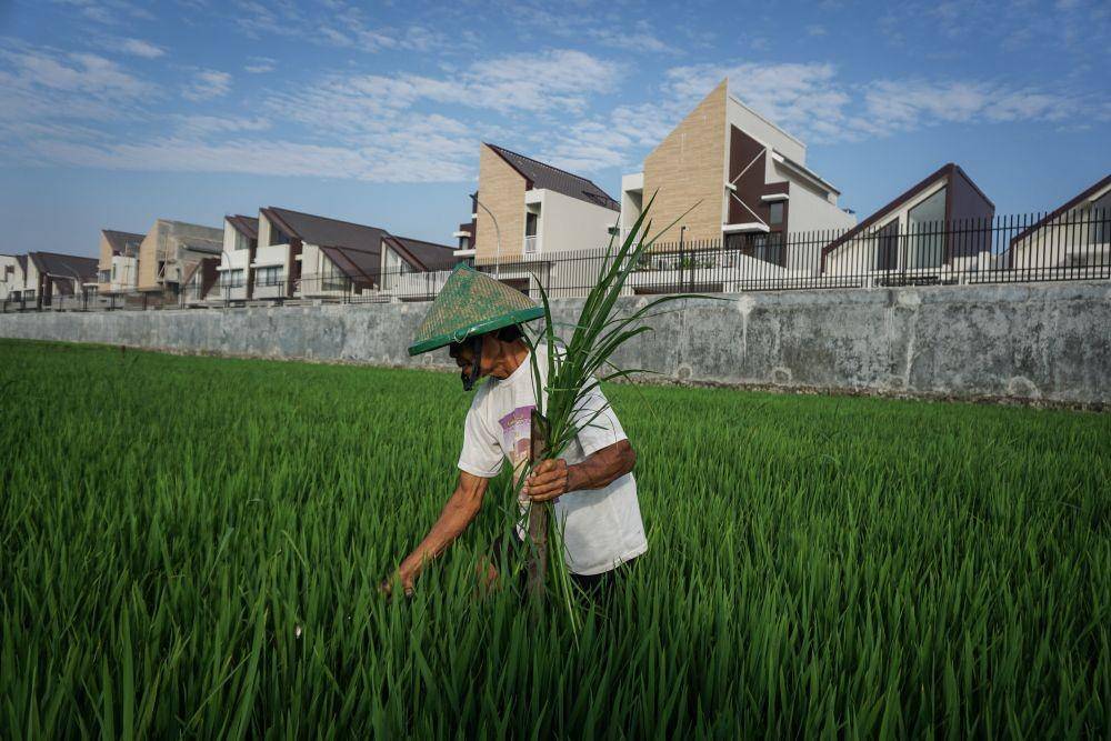 ANTARA Foto/Muhammad Ayudha