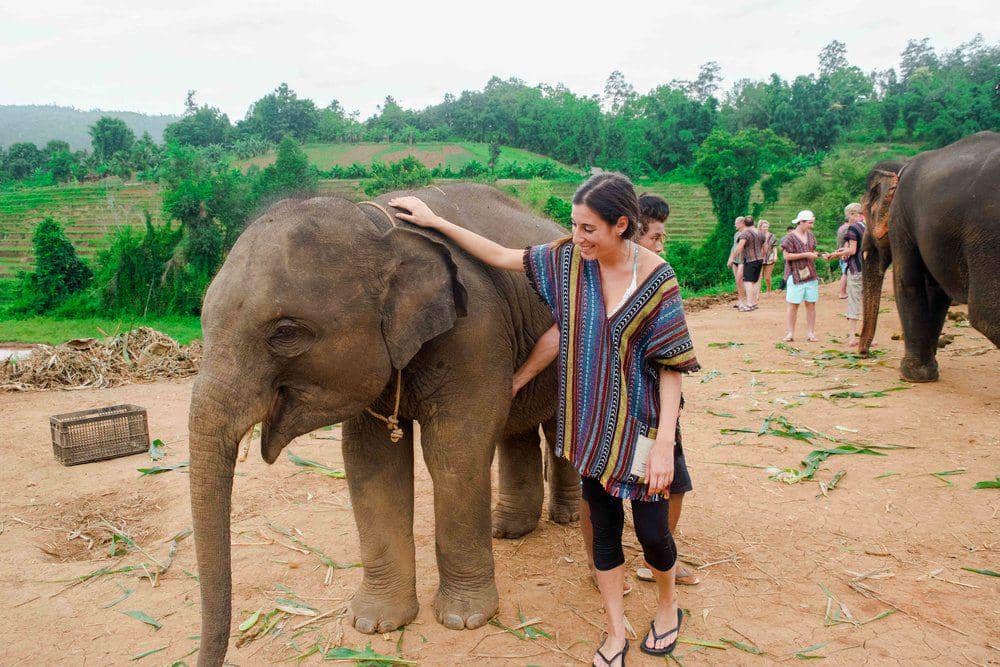 travelwheretonext.com