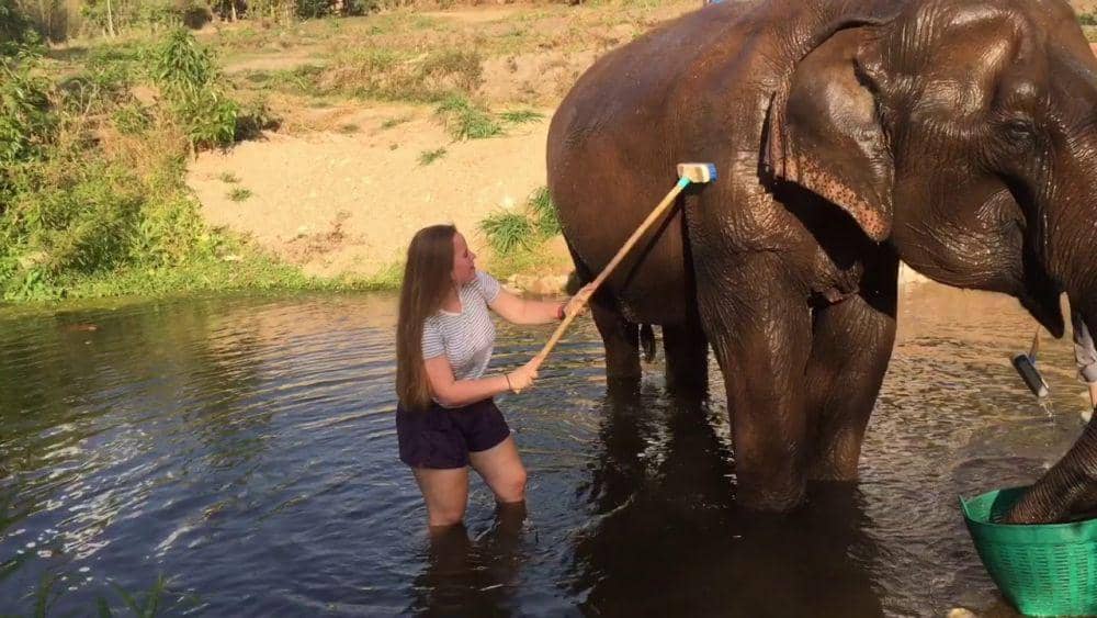 youtube.com/Chloe Studd