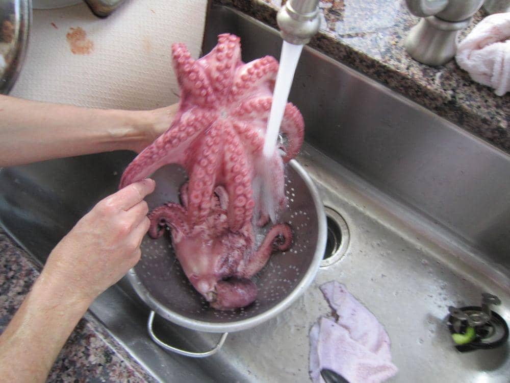 goodmorninggloucester.org