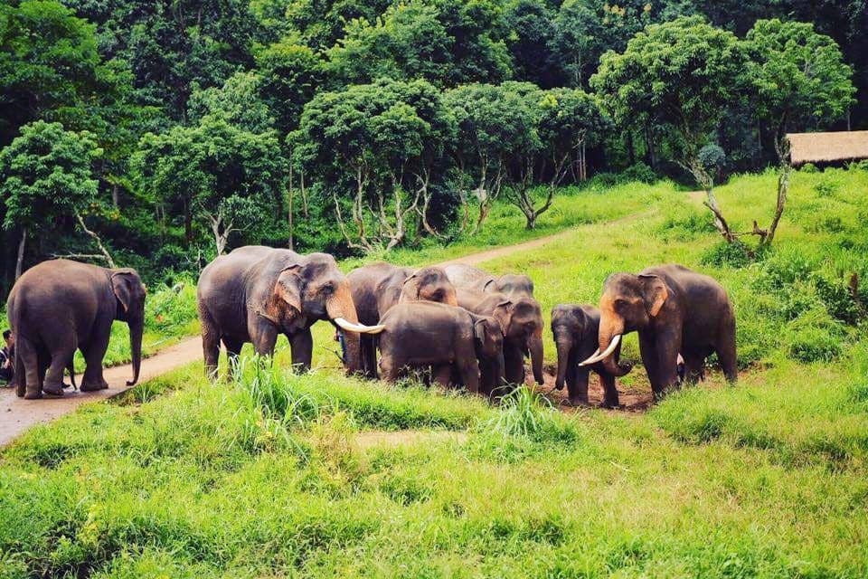 chiangmai.bangkok.com