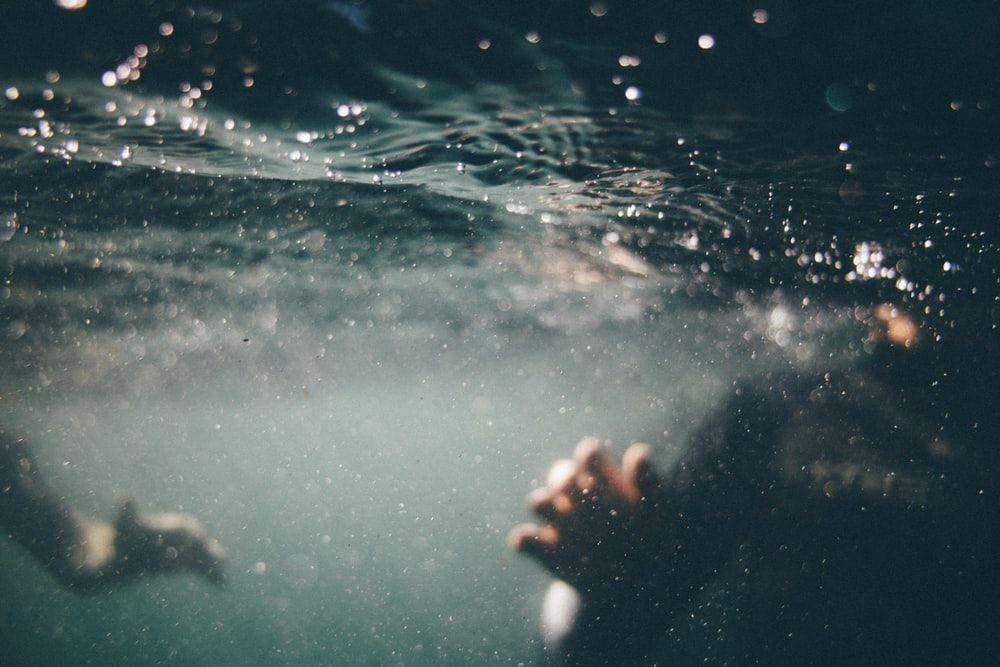 unsplash.com/timmarshall