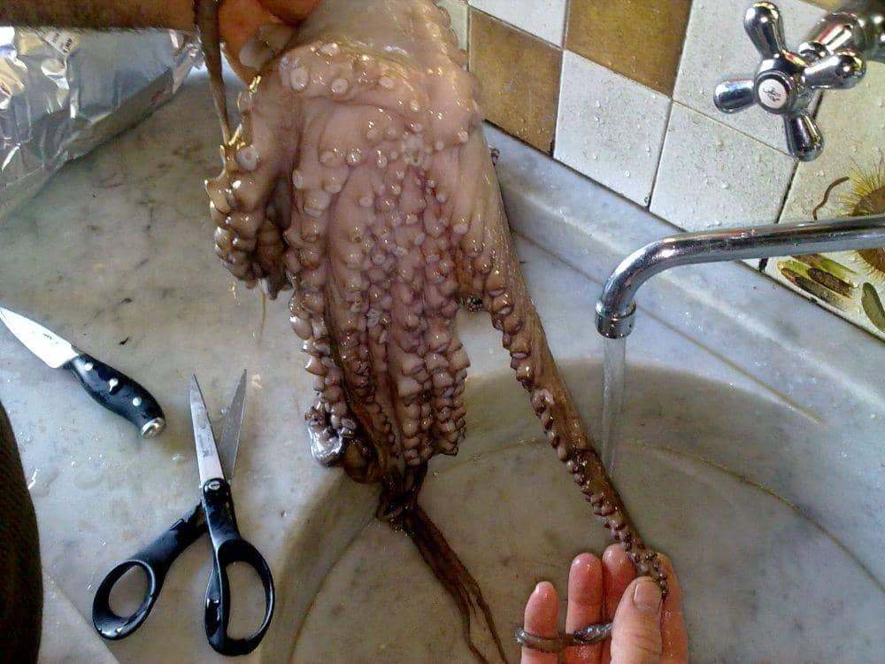 blog.aldentekitchen.com