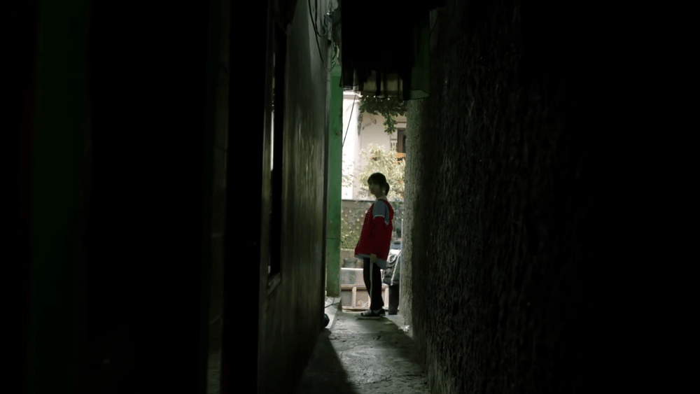 dok. Starvision Plus