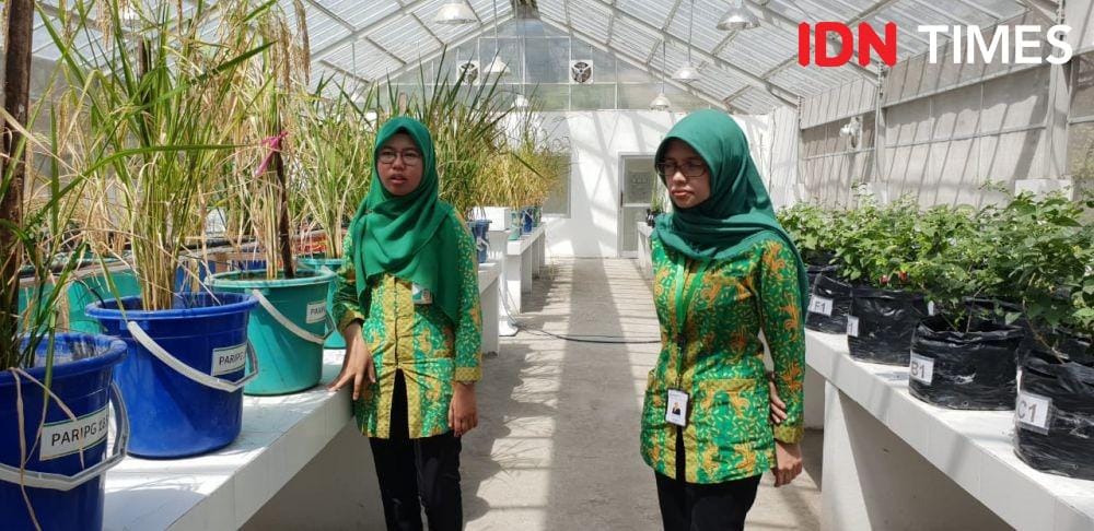 (Ilustrasi area riset PT Petrokimia Gresik) IDN Times/Uni Lubis